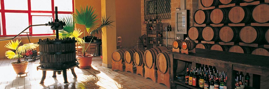 casano vini - immagine dell'azienda