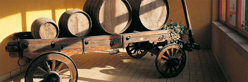 casano vini - immagine dell'azienda